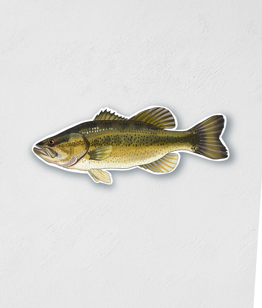 3” Largemouth Bass Sticker